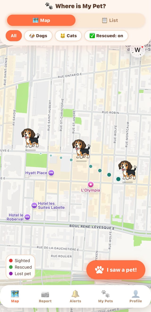 A pet trail: linked sightings with dots growing toward the newest position